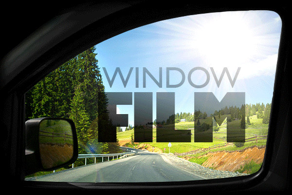 Window Film